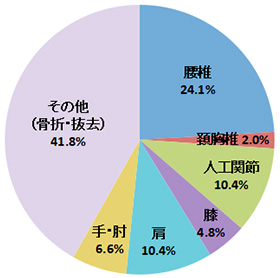 手術内容円グラフ